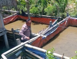 Sambang Ketahanan Pangan, Bhabinkamtibmas Polsek Petang Kunjungi Peternak Lele