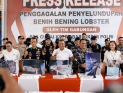 Bareskrim Polri : Gagalkan Penyelundupan 151 Ribu Benih Lobster di Perairan Bintan