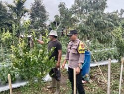 Bhabinkamtibmas Diterjunkan Dukung Program Ketahanan Pangan Nasional